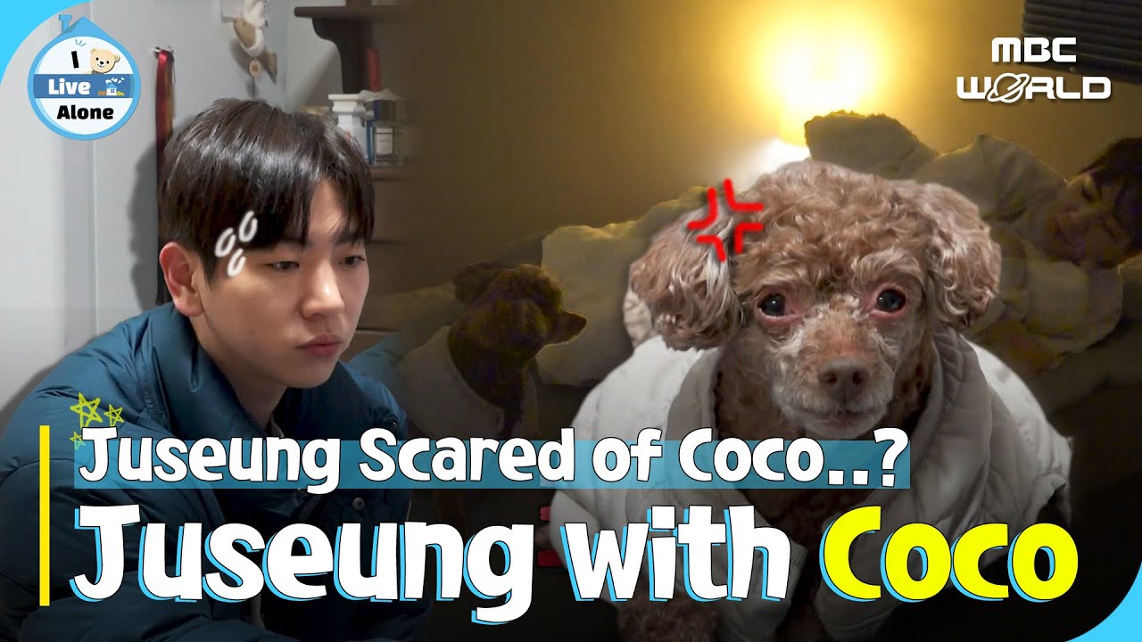 [SUB] Juseung's Month with Coco, the Mom-Separation Anxiety Pup😢#ilivealone