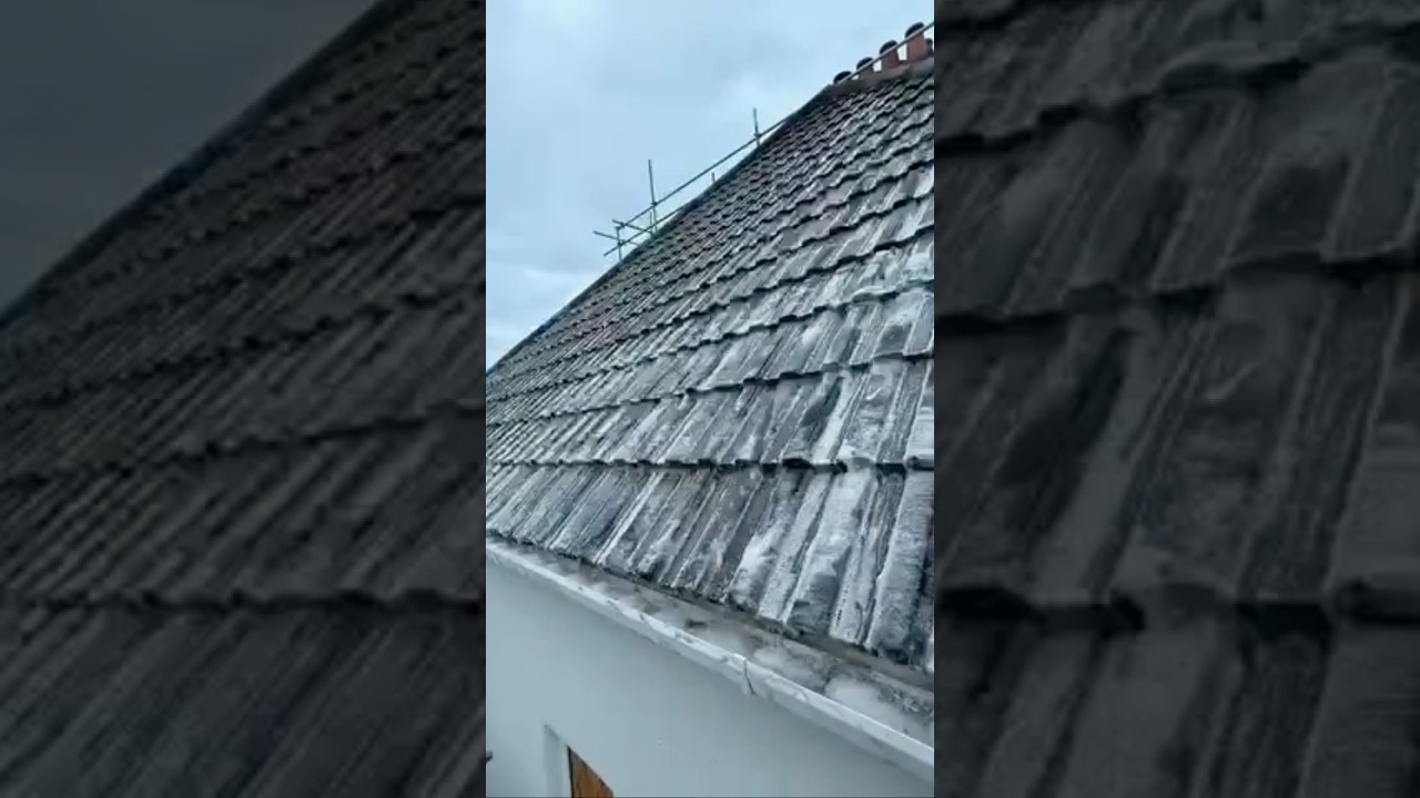 &ldquo;Biocide treatment By EA Roof Cleaning Services &ldquo;