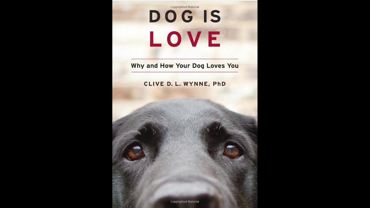 Dog Is Love: Why and How Your Dog Loves You
