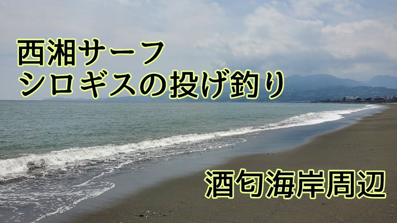 シロギスの投げ釣り　西湘酒匂海岸周辺　6月２７日　No.４６