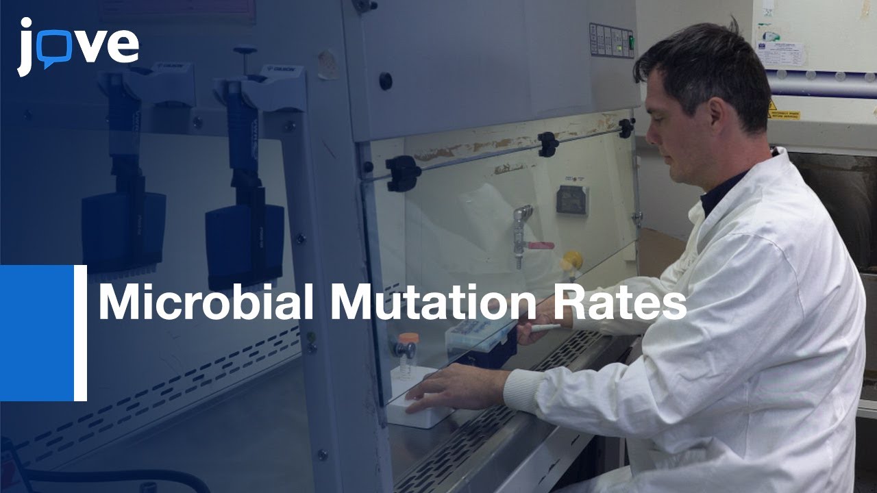 Microbial Mutation Rates Measurement with the Fluctuation Assay | Protocol Preview