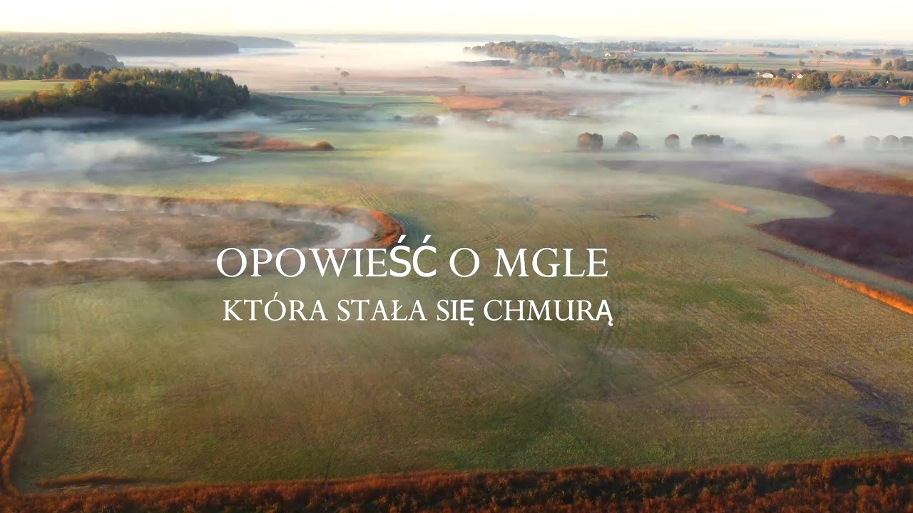 Mgła która chciała być chmurą