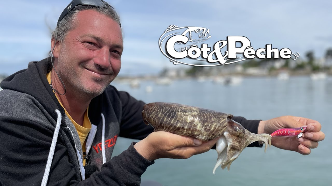 Pêcher la seiche, avec Alexis Chatelain !