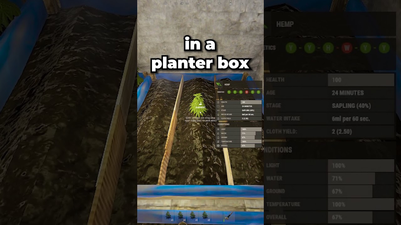 Как ЛЕГКО получить клонов бога в Rust! 🌱🙏