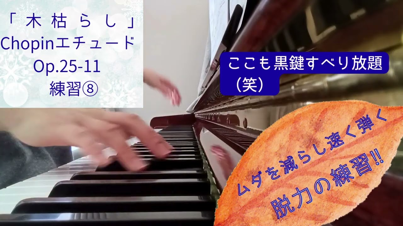 【脱力で速く弾く】ショパン「木枯らし」練習⑧エチュードOp.25-11