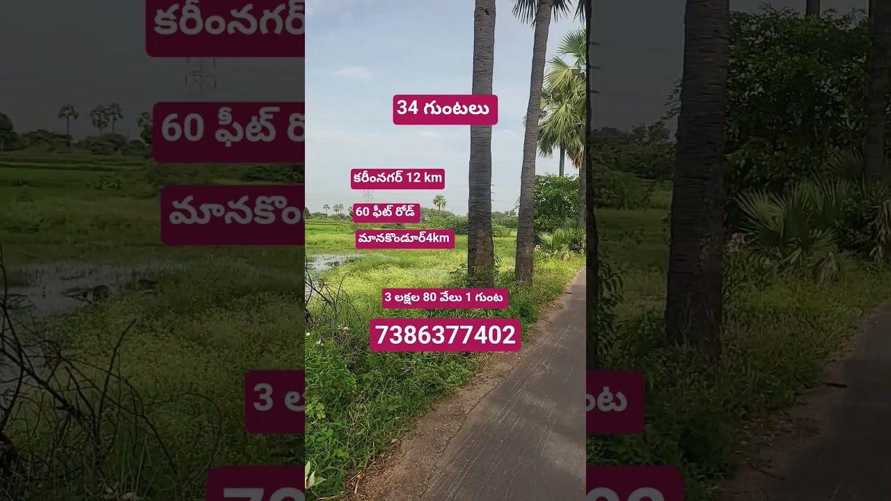 Land for sale Karimnagar Farm house land