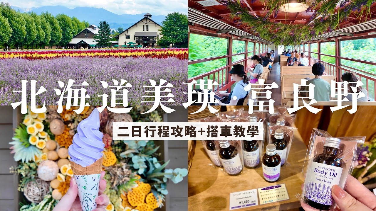 北海道美瑛．富良野二日行程｜富田農場薰衣草花田🪻、旭川飯店開箱🏨、夏季限定慢車號🚂、米其林炸蝦飯🍤｜北海道自助旅行 自由行景點推薦