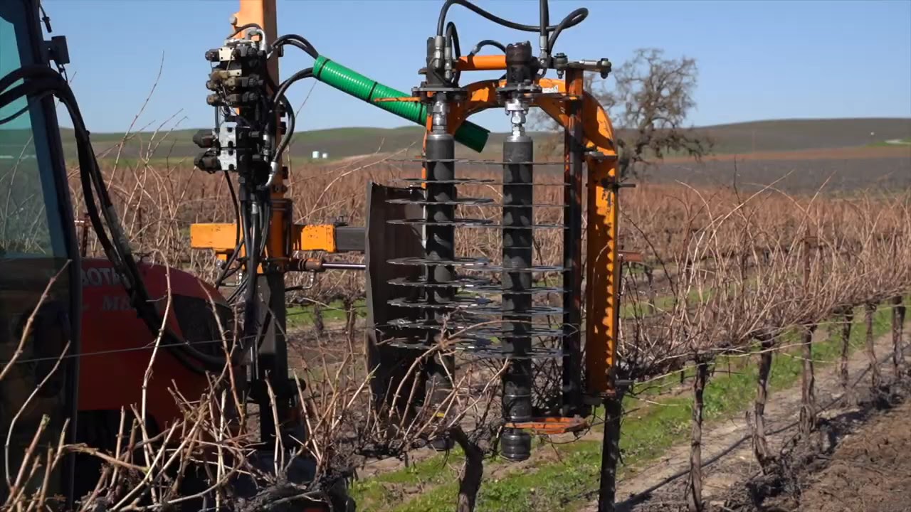 VPS Equipment Services Pre Pruning (Double Pruning) in a Paso Robles Vineyard.  Central Coast, CA