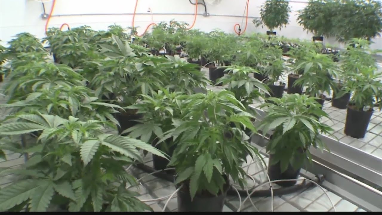 Cannabis legalization in Pennsylvania