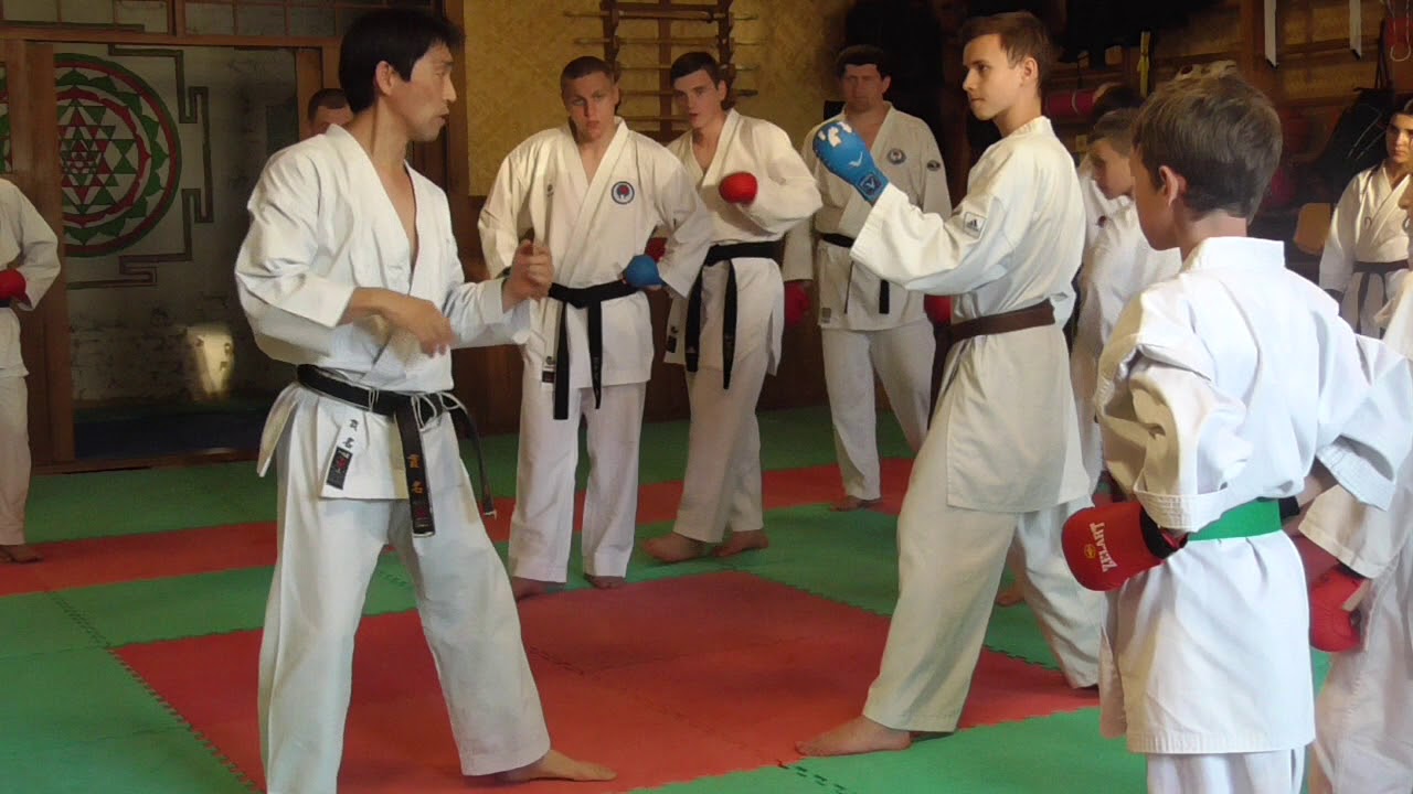 Seminar by Nukina Ukraine 2018 baze of Wado kumite // Part 9