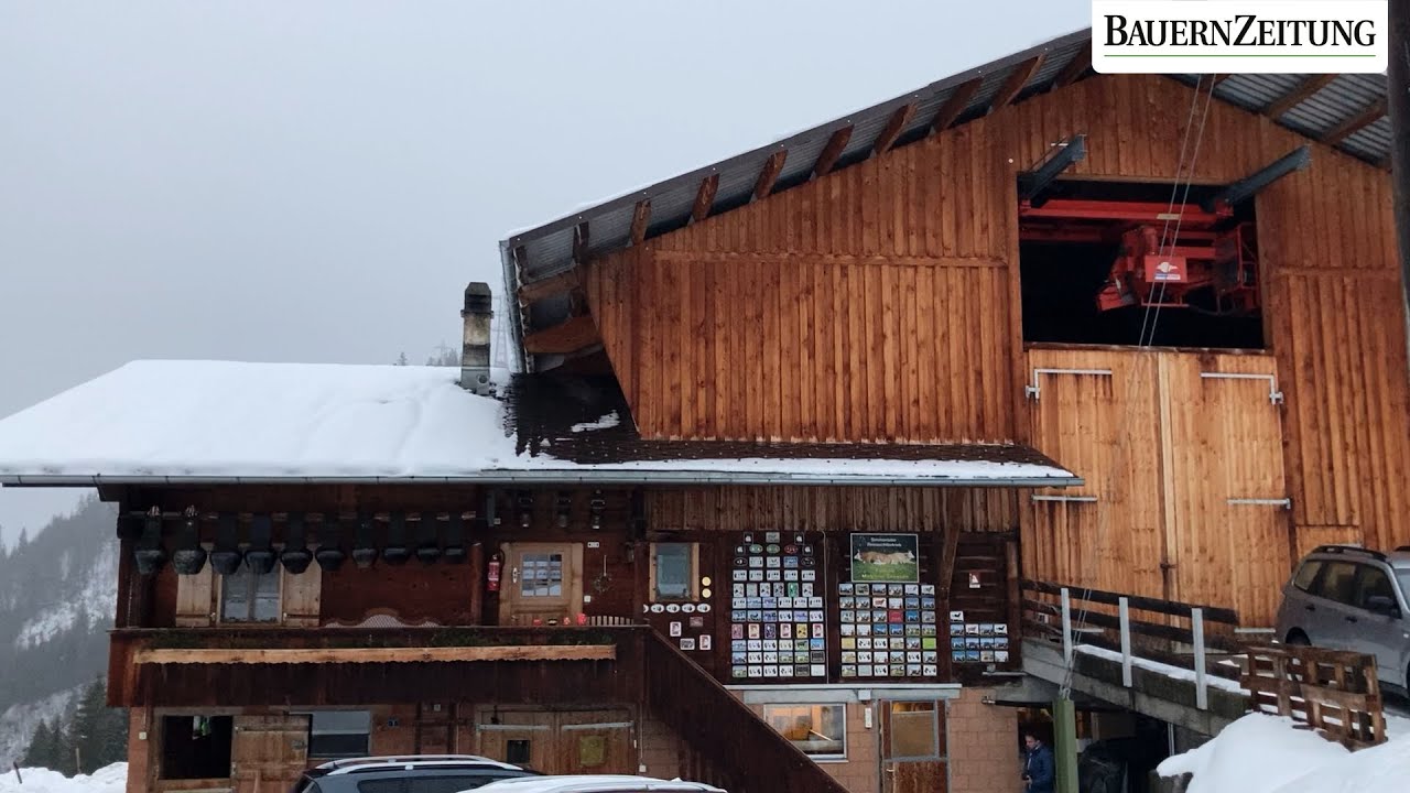 Ein Bijou von einem Stall - Betrieb Grossens Kandergrund
