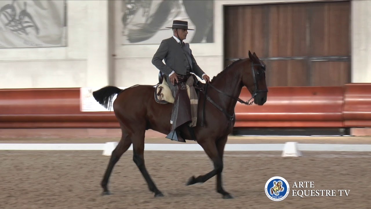 AAEE ITALIA - CAMPIONATO ITALIANO DOMA VAQUERA E COPPA ITALIA - 5° TAPPA - ANDREA GIANNELLINI