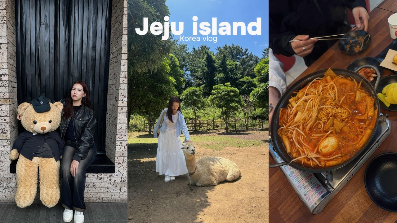 Jeju vlog: много корейской еды, остров, море, альпаки, музеи