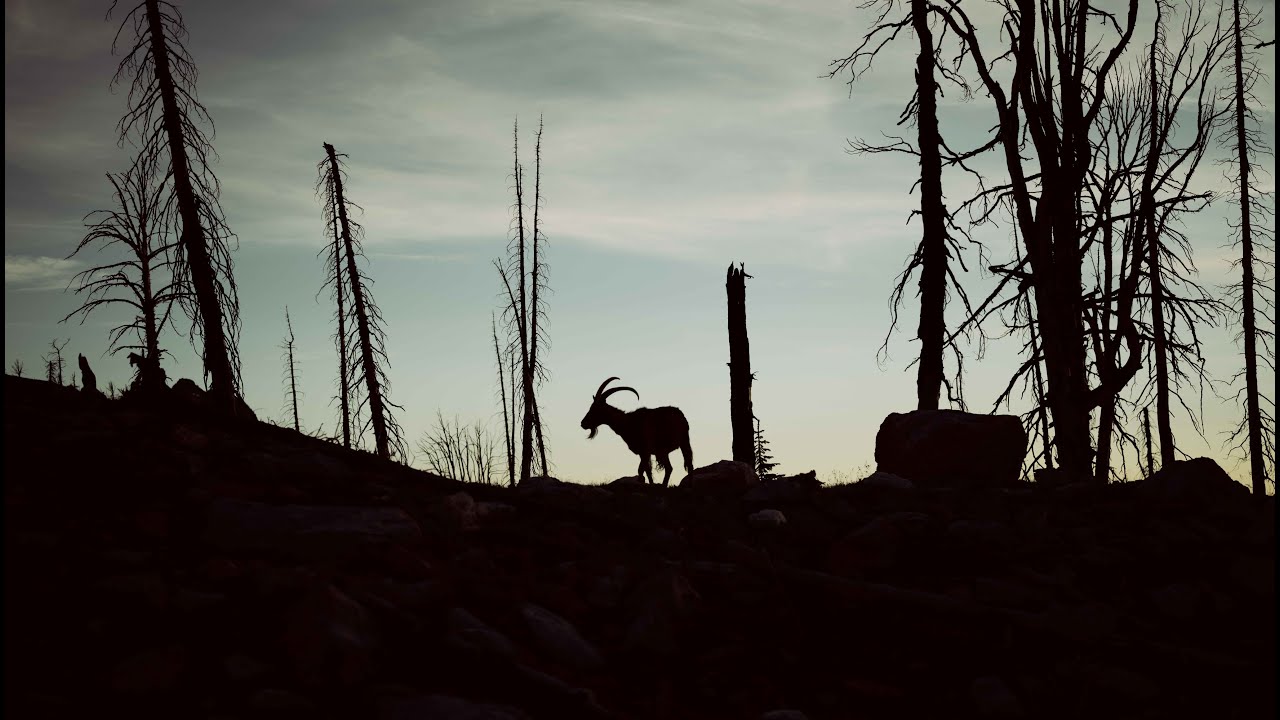 Filson Life: Grit