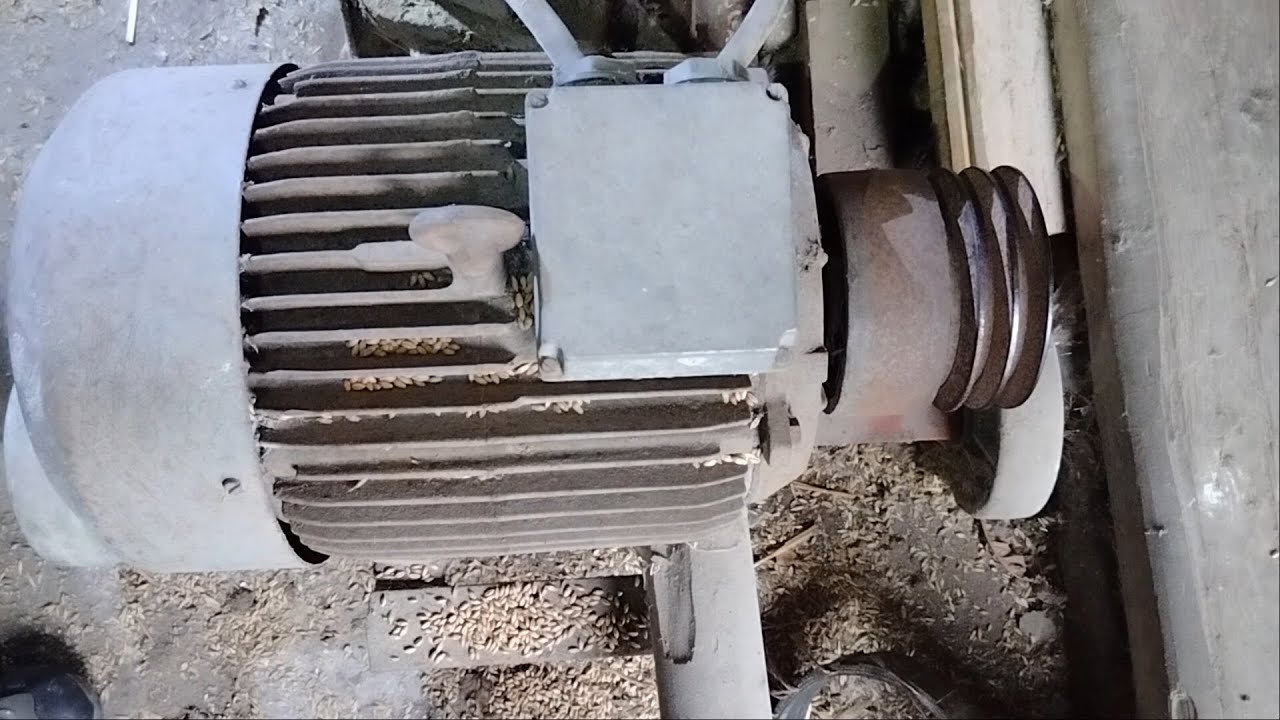 Wymiana łożysk 6309 C3 w silniku 11kW SF 160 M-4 Śrutownik na kamienie WUKO H123