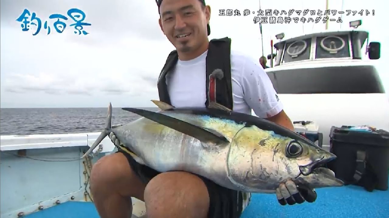 【釣り百景】#400 五郎丸 歩 ・ 大型キハダマグロとパワーファイト！伊豆諸島沖でキハダゲーム