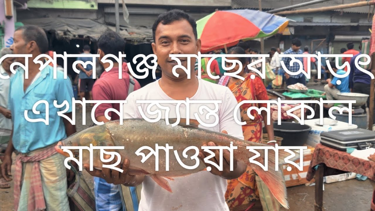 দক্ষিণ ২৪ পরগনা বড়ো হোলসেল fish মার্কেট #fish #fishmarket #vairalvideo #myvlog #youtubevideo