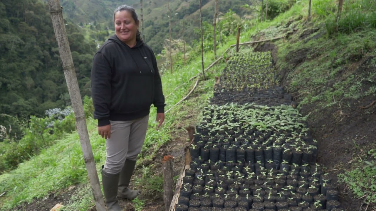 La Mesenia Community Tree Nursery Project