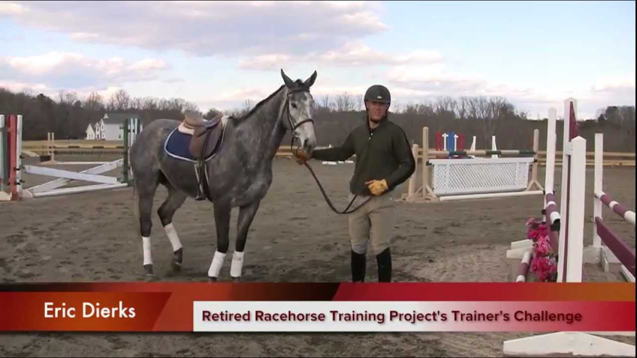 Part 2 of the Retired Race Horse Thoroughbred Training Project with Eric Dierks.