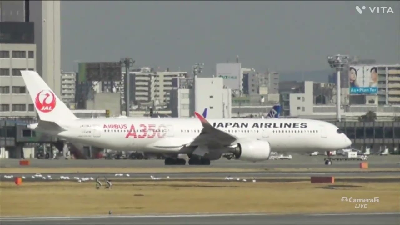 JAL A350🔴タヌキ離着陸😊　#伊丹空港 #猪名川土手#A350　2026.03.17