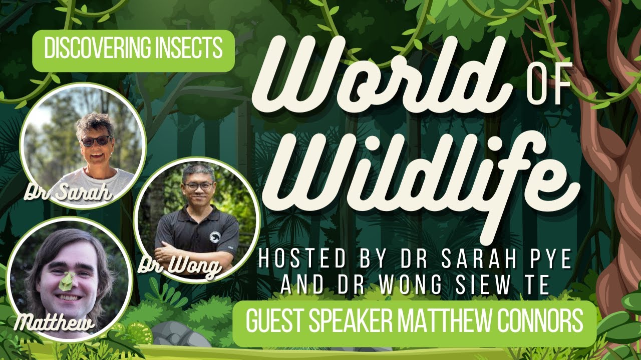 [WOW] Discovering Insect Species [September25]