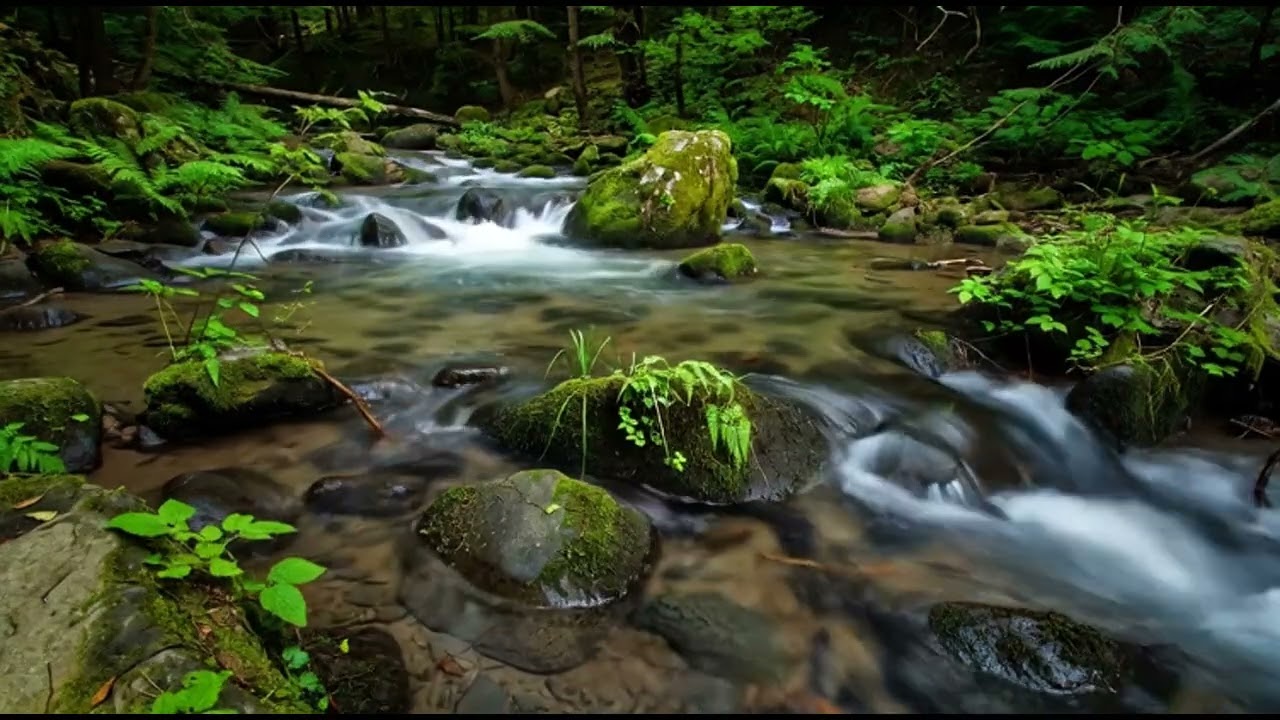 3 HOURS of Deep RELIEF Music That MELTS Stress & Anxiety Away (Ultimate Alpha Waves) Cut Stress