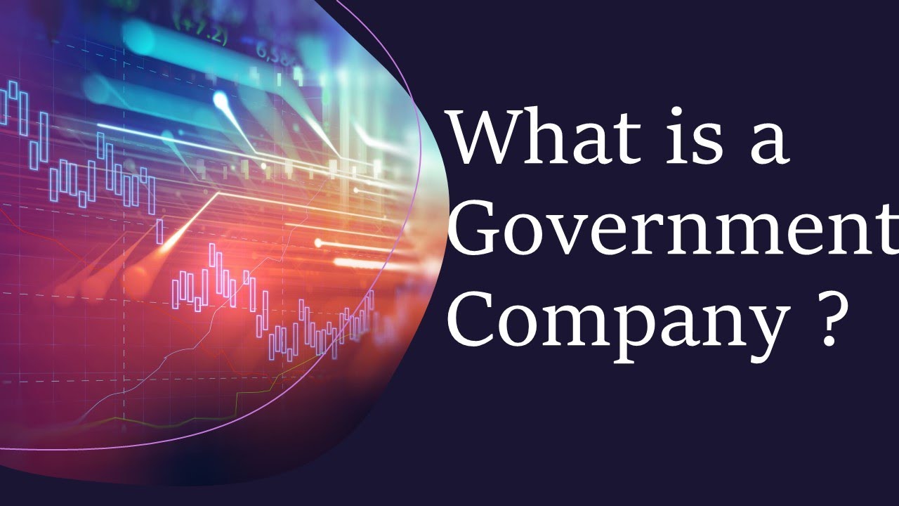 What is Government Company / Example of Government Company