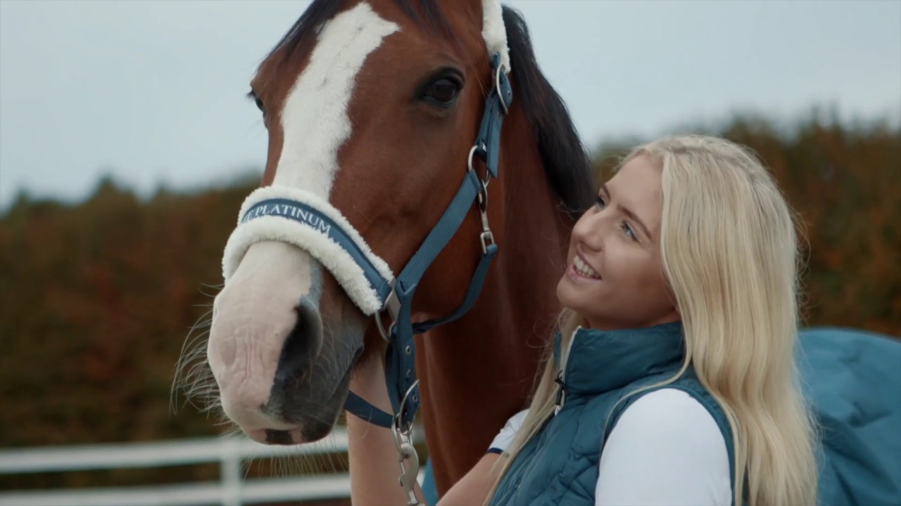 How to put on a horse rug correctly and rug review - Horze Avalanche Rug