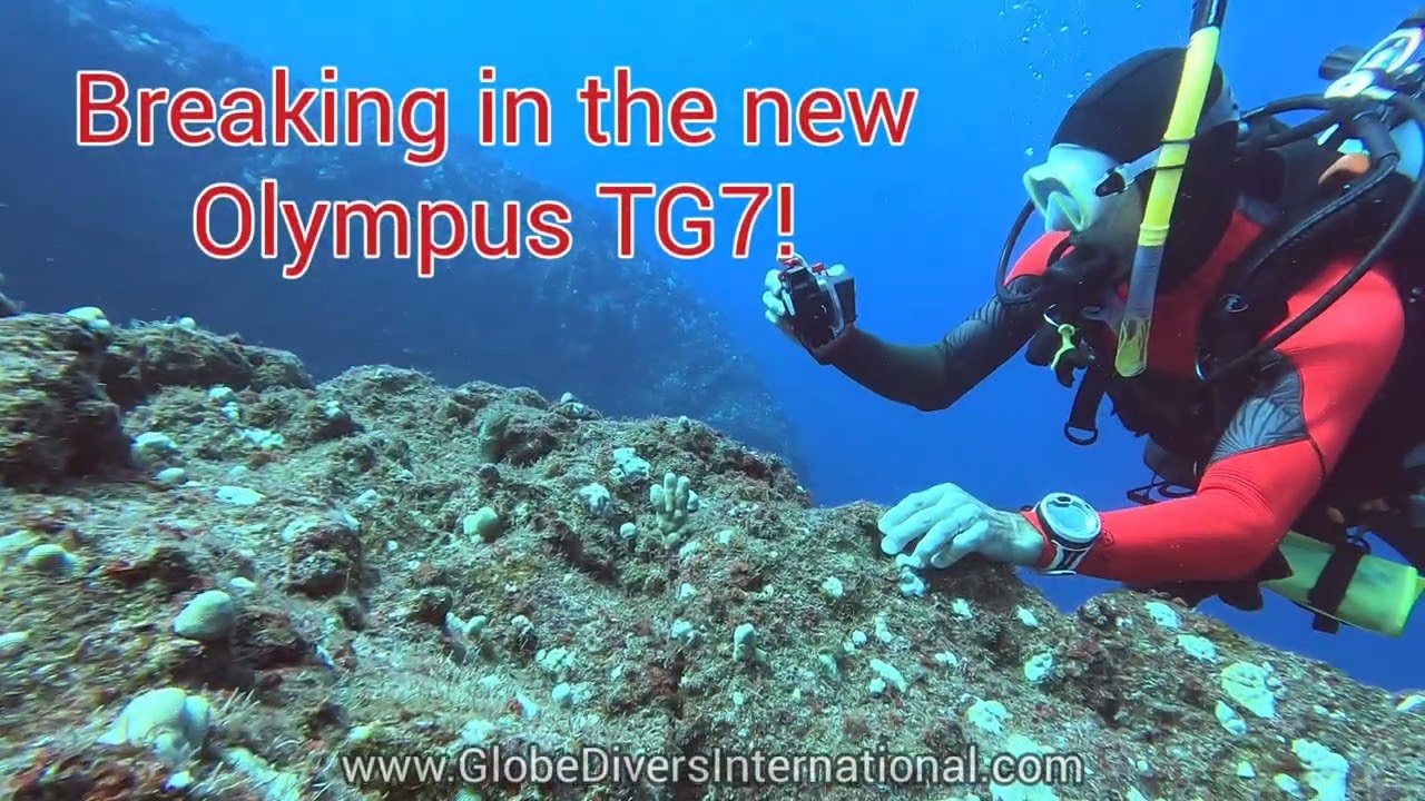 Breaking In the New Olympus TG7 Underwater Camera at Pebbles Beach, Captain Cook, Hawai'i 