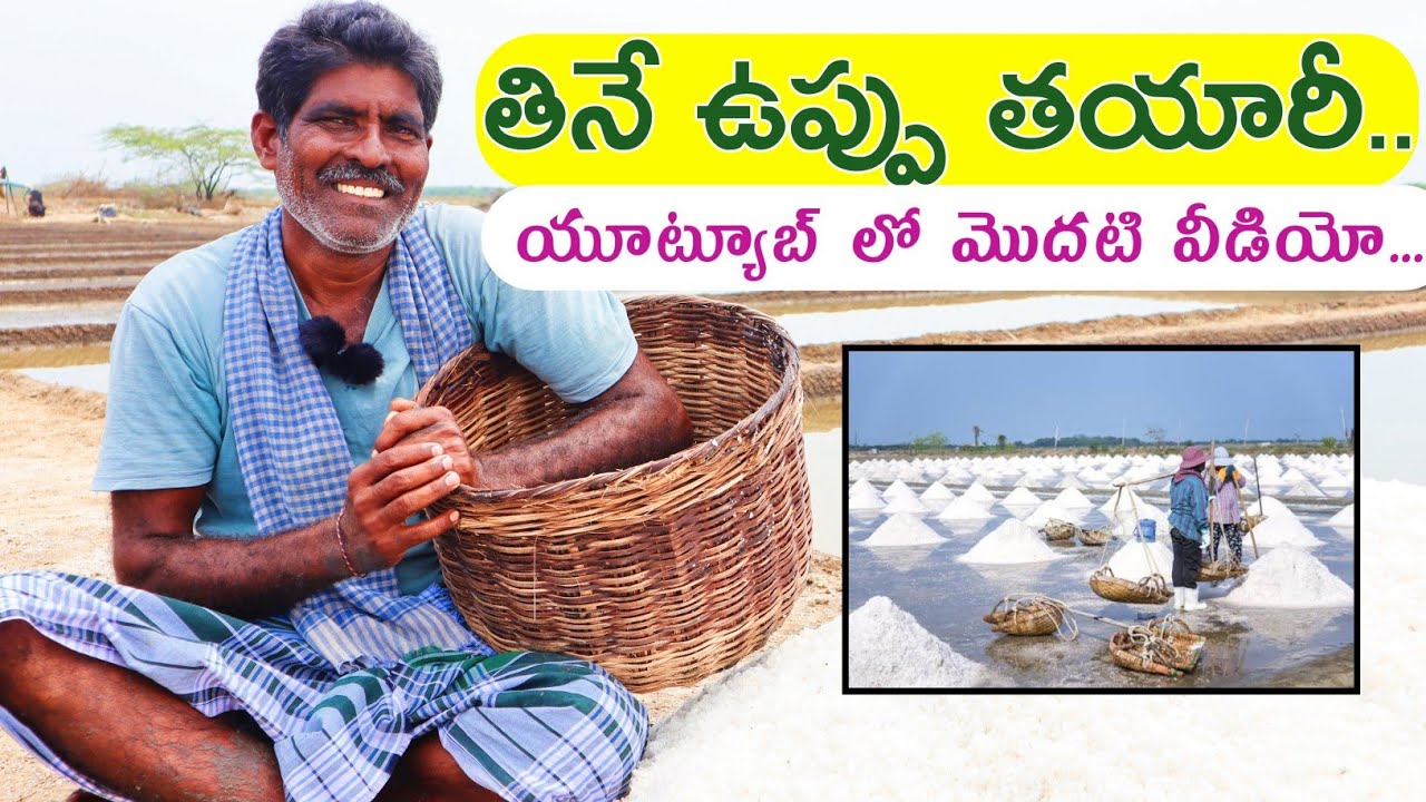 Salt Making & Farming | ఉప్పు తయారీ, సాగు విధానం | Shiva Agri Clinic