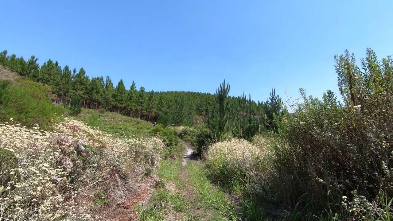 MTB Zuid Afrika  Harkerville The Beast An