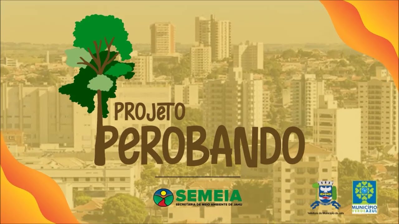 PEROBA-ROSA: CONHEÇA PROJETO PEROBANDO