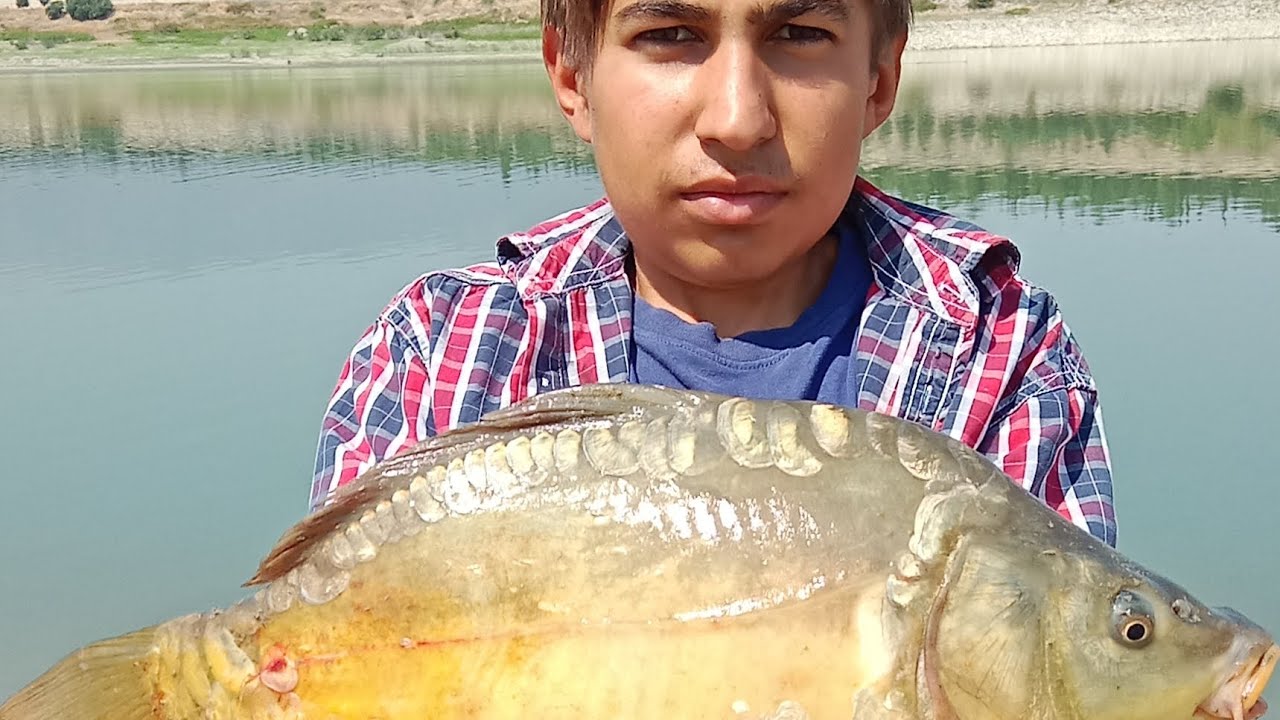 KARAKURT BARAJINDA HARİKA SAZAN AVI