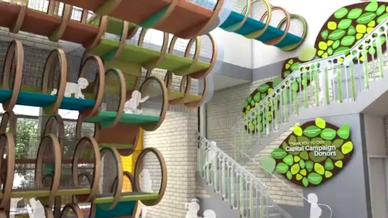 KidsQuest Children's Museum Fly Through Video