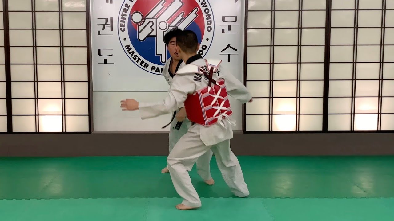 Poomsae Taegeuk IlJang 품새 태극일장 Master Park Moon Soo #taekwondo #demonstration #seminar #stage