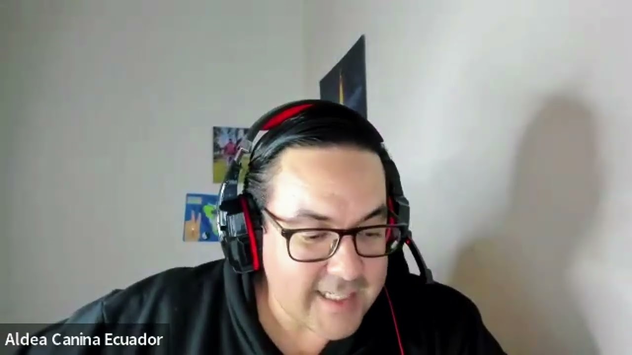 ¿Qué es la Estructura en la Convivencia Con Tu Perro?