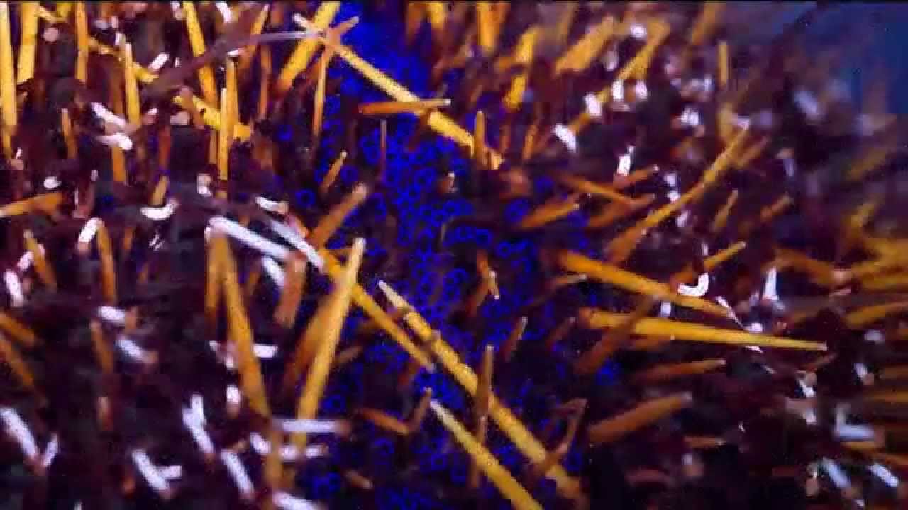 Hypnotizing Macro Timelapse Of Exotic Corals Made With 150,000 Photos