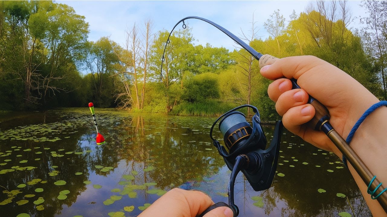 PÊCHE AU BOUCHON - JE DECOUVRE UN SPOT PROMETTEUR !