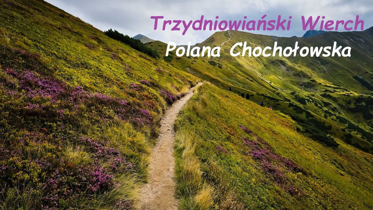 Tatry Zachodnie - Siwa Polana - Trzydniowiański Wierch - Dolina Jarząbcza - Polana Chochołowska