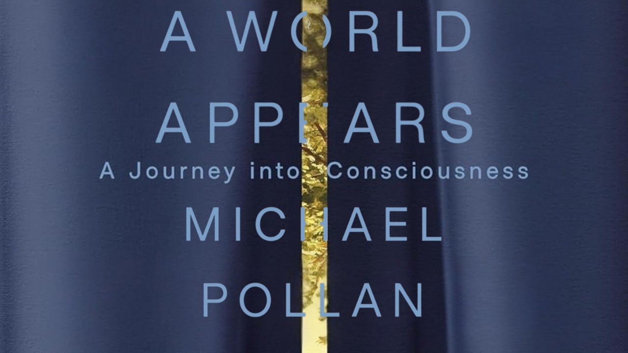 Consciousness Explained | Michael Pollan's A World Appears Full Breakdown