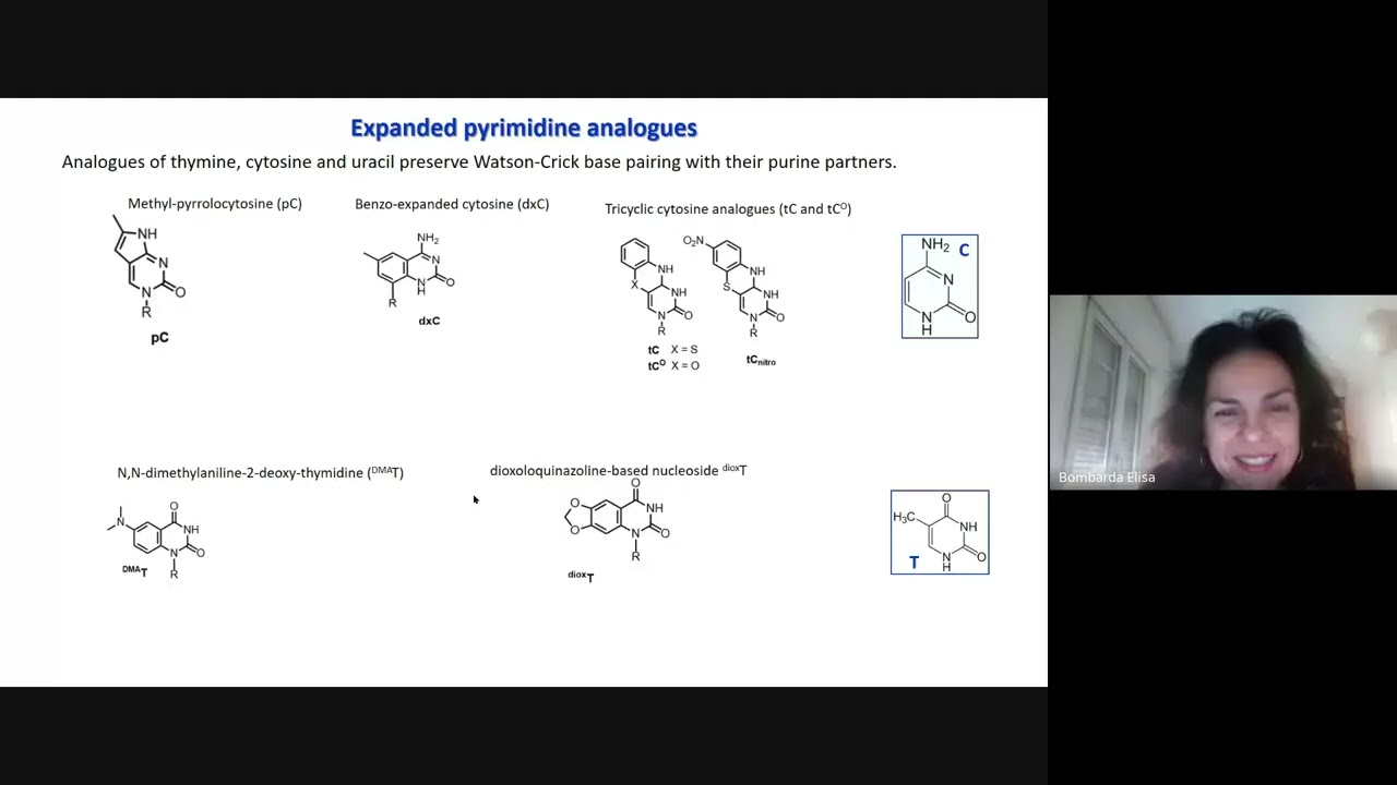 L11 Fluorescence probes for nucleic acids