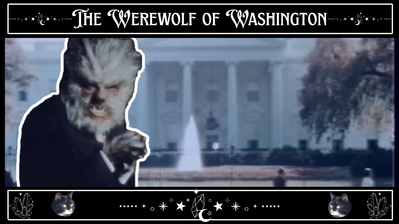 A Werewolf Infiltrates the White House - The Werewolf of Washington (1973) summary and review