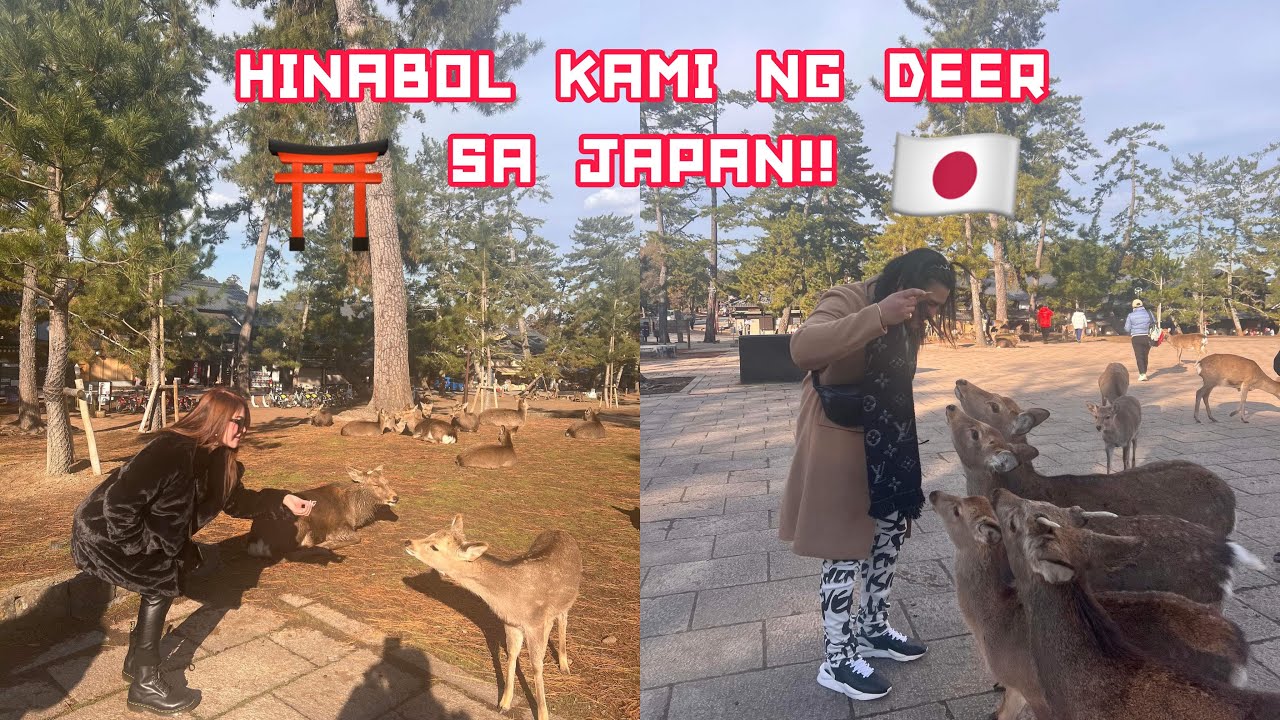 NAGPUNTA KAMI NG JAPAN | JOSHHOPE