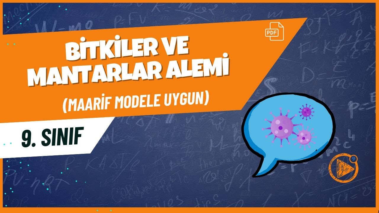 Bitkiler ve Mantarlar Alemi | 9. Sınıf Biyoloji Konu Anlatımı | 2025- 2026