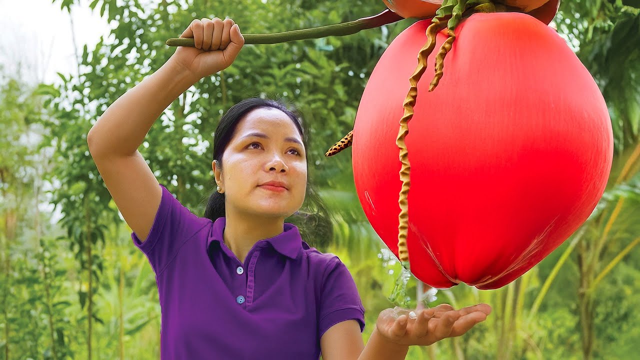 Harvesting a Giant Red Fruit in the Countryside &ndash; Peaceful Village Life Documentary