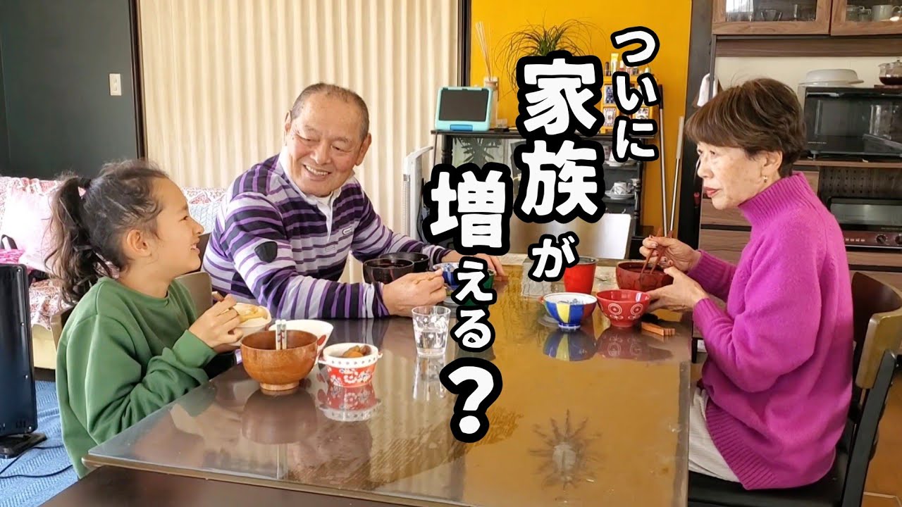 え？家族が増える？更なる楽しみが増えそうです/シジューカラの生活