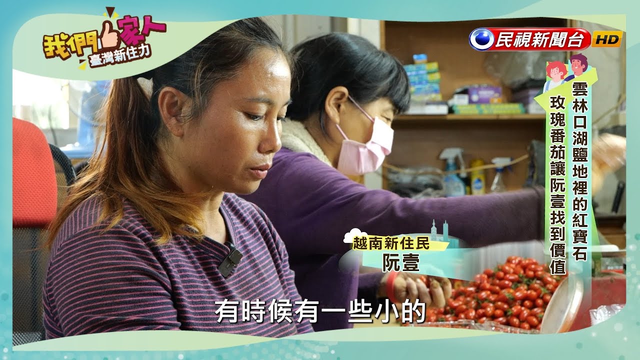 鮮紅色澤的玫瑰番茄，位於雲林口湖鹽地一片不肥沃的土地上，是她靠著汗水、努力，結出一顆顆枝頭上的紅寶石｜越南－阮壹｜【我們一家人】20240119｜民視新聞台｜移民署