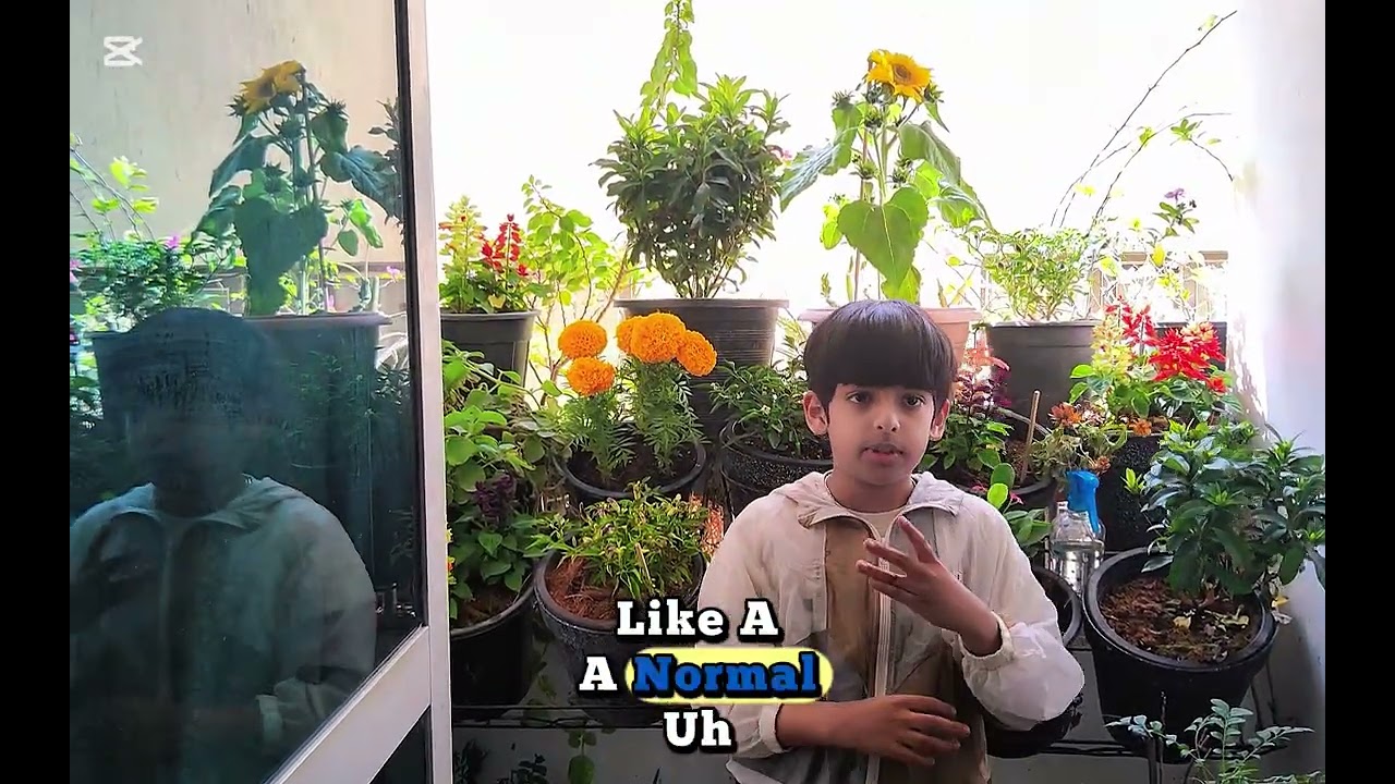 Types of plant