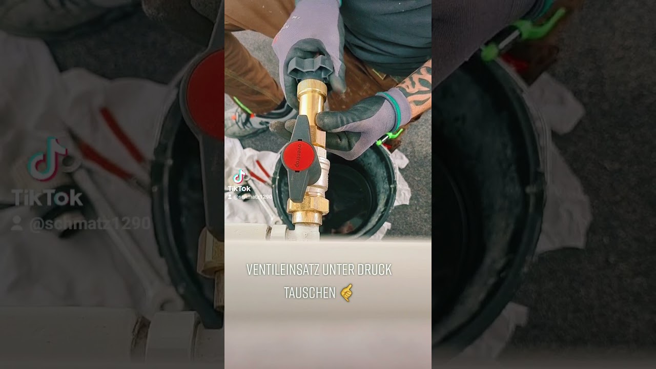 Mit Oventrop Schleuse Ventileinsatz tauschen.