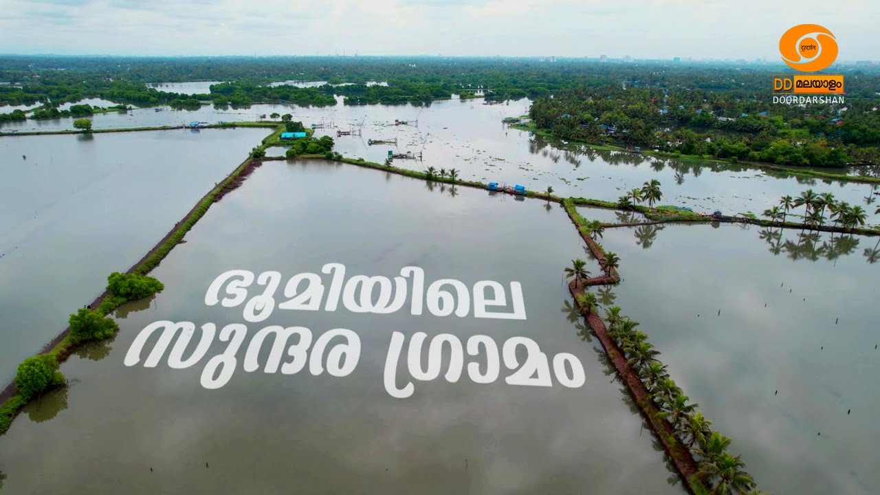 Kadamakkudi Jeevithavum Saundaryaum || Documentary || DD MALAYALAM || #ddmalayalam